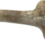 Pet Qwerks Dinosaur BarkBone - Nylon Dog Bone for Aggressive Chewers